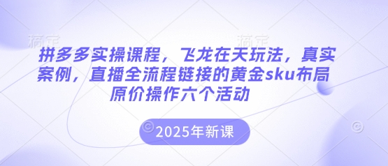 拼多多实操课程,飞龙在天玩法,真实案例,直播全流程链接的黄金sku布局原价操作六个活动-轻创掘金社