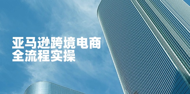 （14252期）亚马逊跨境电商全流程实操，教你从零开始，掌握店铺运营与广告技巧-轻创掘金社