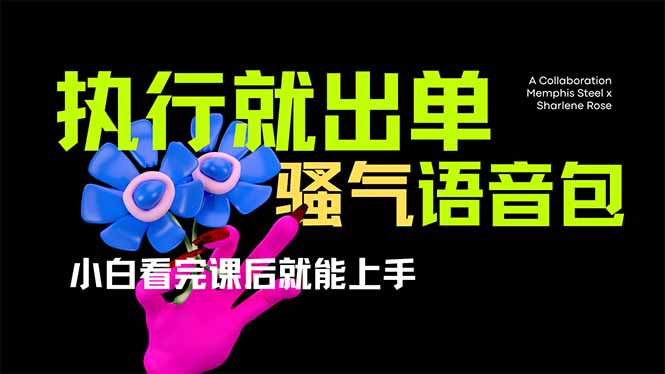 (14170期)爆火全网的开车导航骚气语音包,只要执行就出单,小白看完课程就能实操...-轻创掘金社