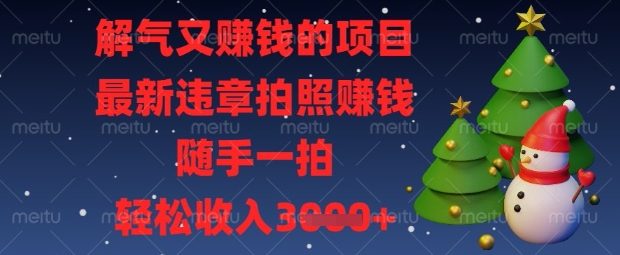 解气又挣钱的项目，最新违章拍照挣钱，随手一拍，轻松收入数张【揭秘】-轻创掘金社
